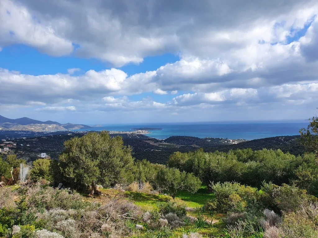 οικόπεδο προς πώληση 4790 τ.μ Άγιος Νικόλαος Νομός Λασιθίου