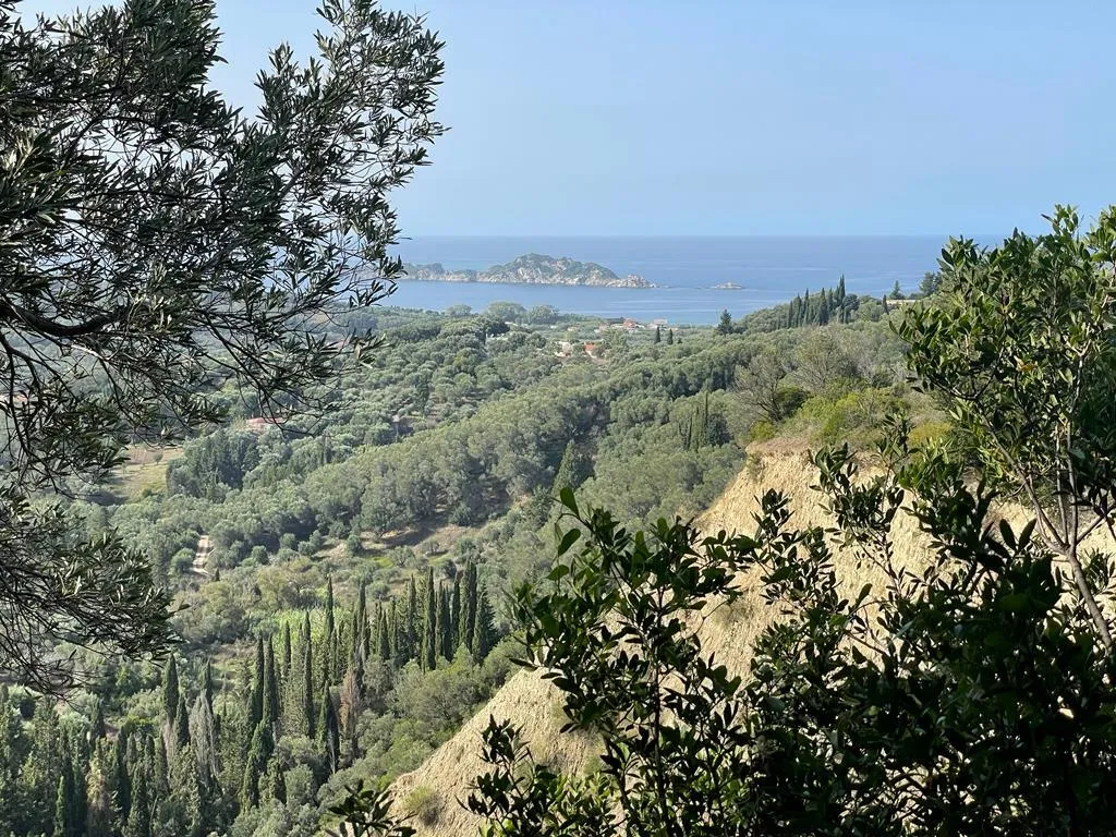 οικόπεδο προς πώληση 12000 τ.μ Κέρκυρα Νομός Κέρκυρας