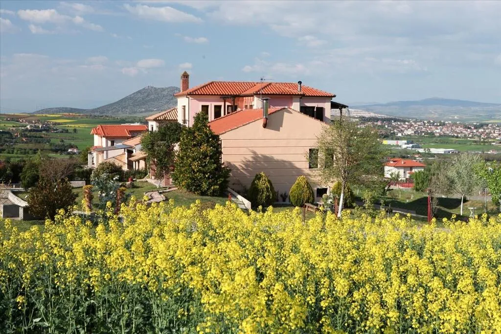 βίλα προς πώληση 320 τ.μ Μυγδονία Προάστια Θεσσαλονίκης