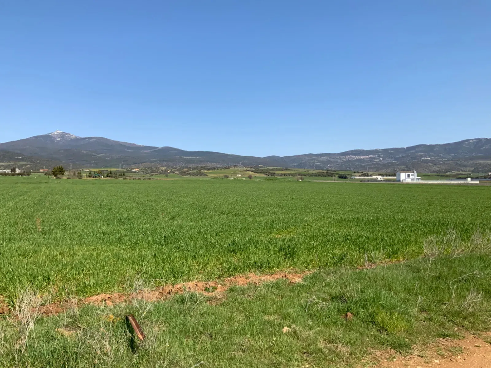 οικόπεδο προς πώληση 8200 τ.μ Βασιλικά Προάστια Θεσσαλονίκης