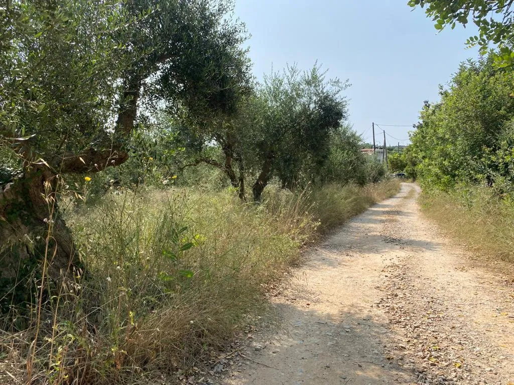 οικόπεδο προς πώληση 3092 τ.μ Βάμος Νομός Χανίων
