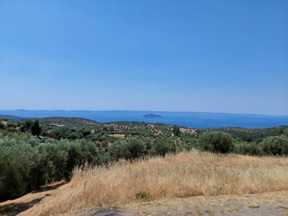 960