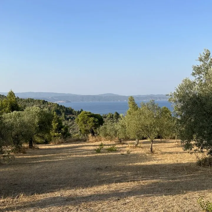 οικόπεδο προς πώληση 2700 τ.μ Σιθωνία Χαλκιδική