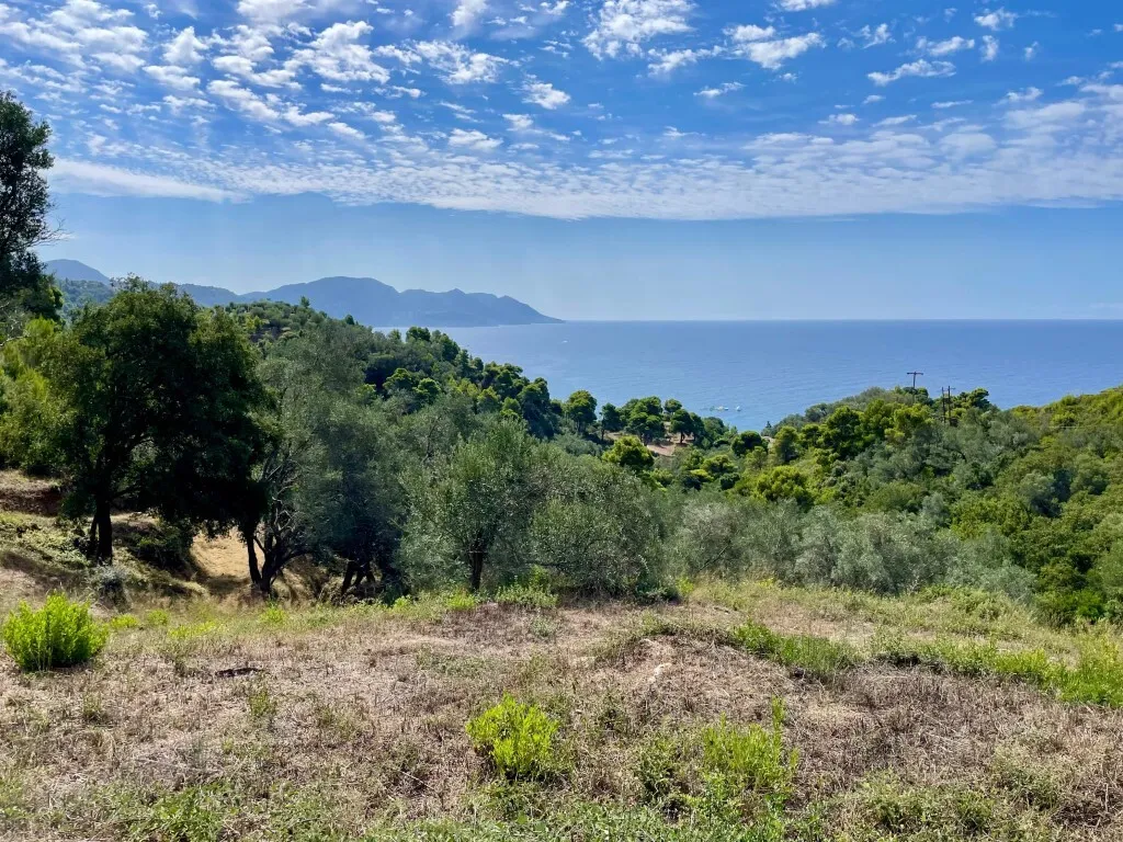 οικόπεδο προς πώληση 8000 τ.μ Κέρκυρα Νομός Κέρκυρας
