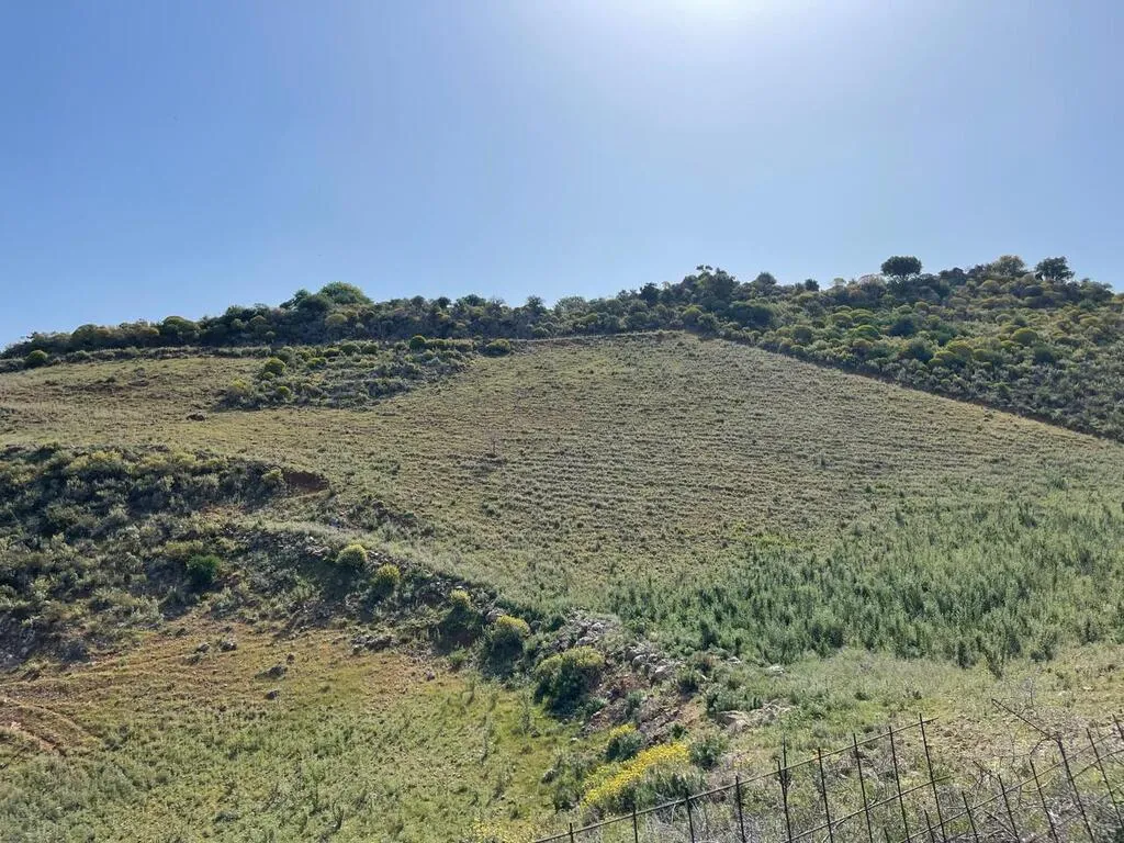 οικόπεδο προς πώληση 10000 τ.μ Κρυονερίδα Νομός Χανίων