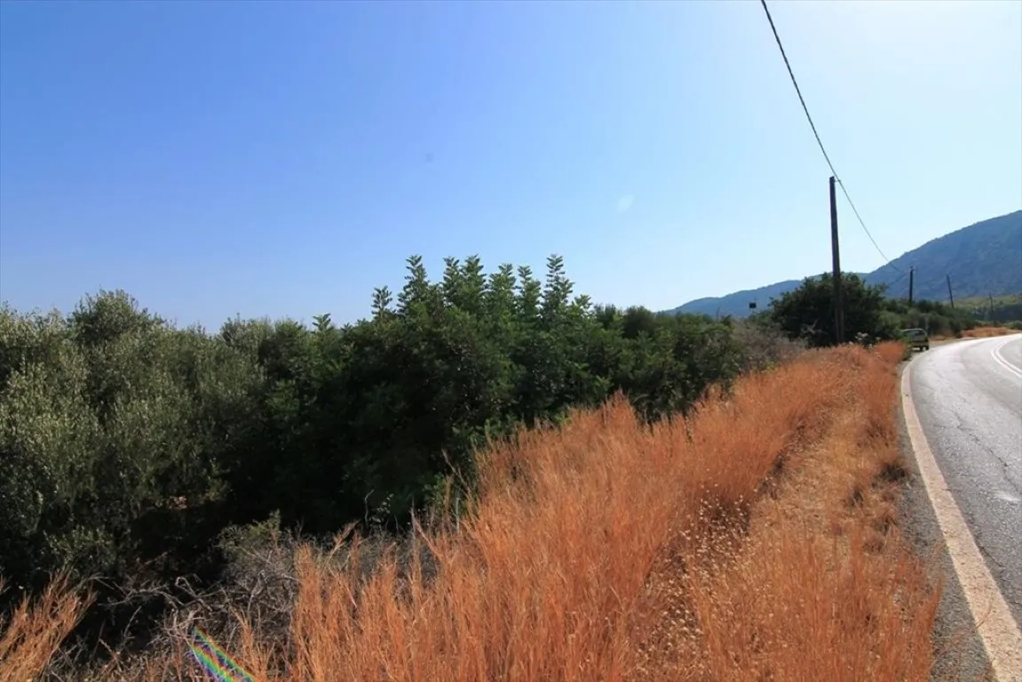 οικόπεδο προς πώληση 2000 τ.μ Άγιος Νικόλαος Νομός Λασιθίου