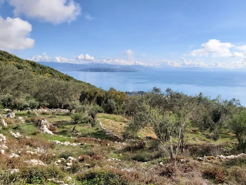 οικόπεδο προς πώληση 9500 τ.μ Κέρκυρα Νομός Κέρκυρας