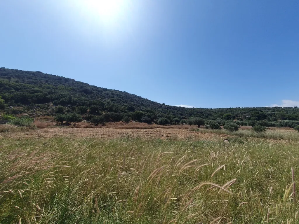 οικόπεδο προς πώληση 28752 τ.μ Άγιος Νικόλαος Νομός Λασιθίου