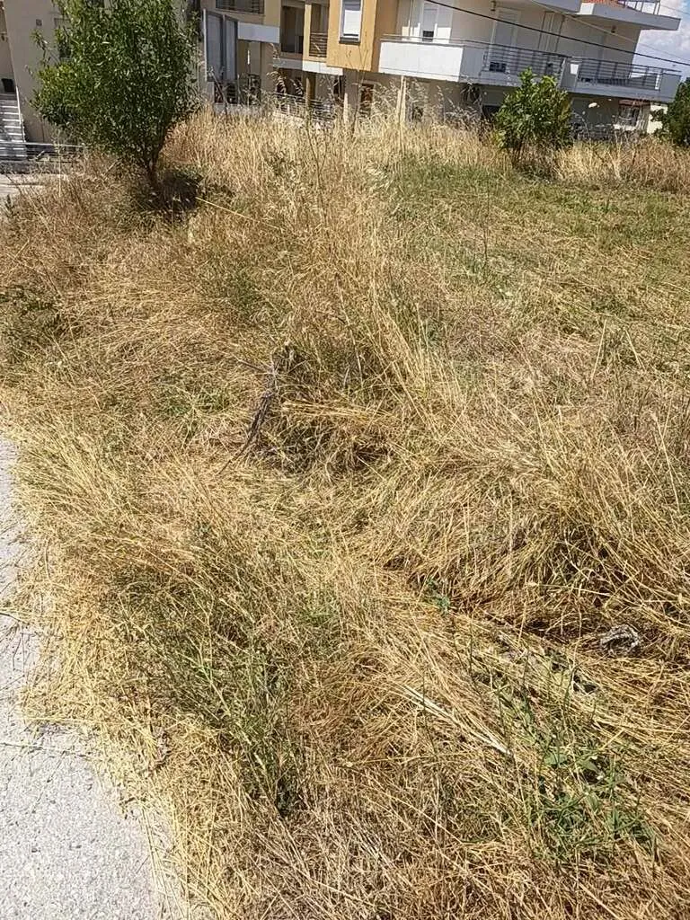 οικόπεδο προς πώληση 1200 τ.μ Επανωμή Προάστια Θεσσαλονίκης