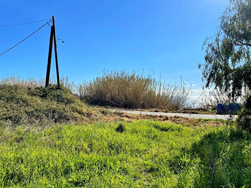 οικόπεδο προς πώληση 3646 τ.μ Κέρκυρα Νομός Κέρκυρας