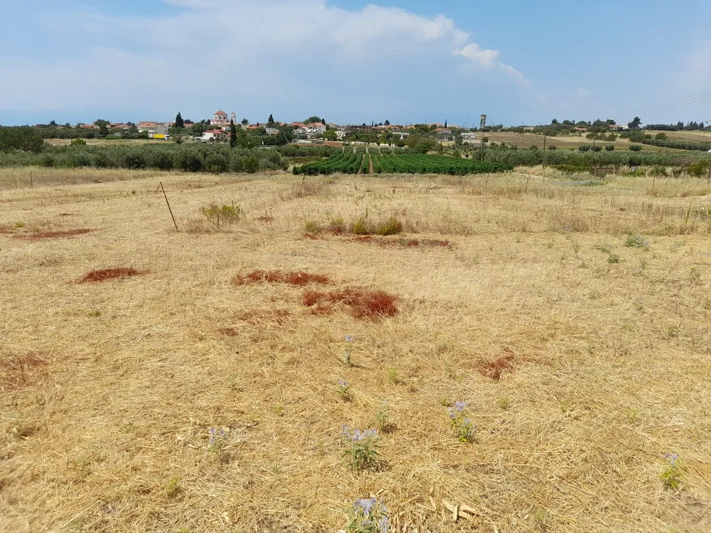 οικόπεδο προς πώληση 370 τ.μ Νέα Προποντίδα Χαλκιδική