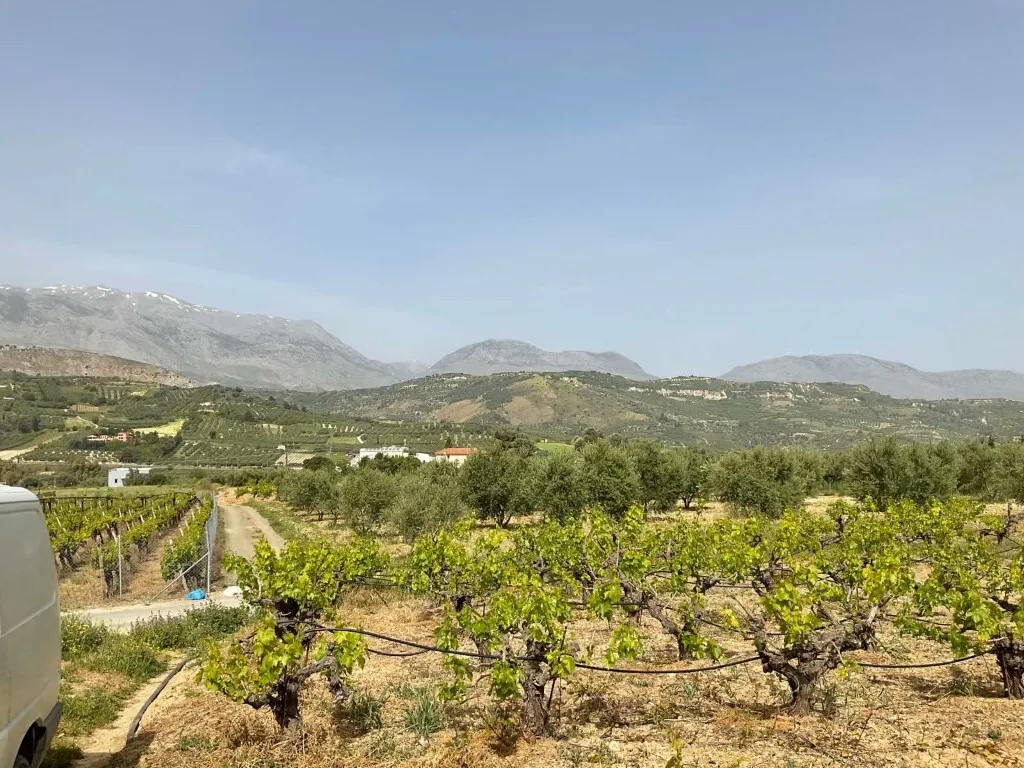 οικόπεδο προς πώληση 3000 τ.μ Ηράκλειο Κρήτης Νομός Ηρακλείου