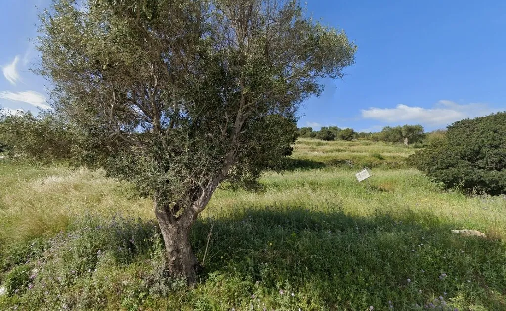 οικόπεδο προς πώληση 4150 τ.μ Ελάτιο Ζάκυνθος
