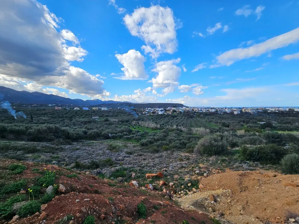 οικόπεδο προς πώληση 4021 τ.μ Νεάπολη Νομός Λασιθίου