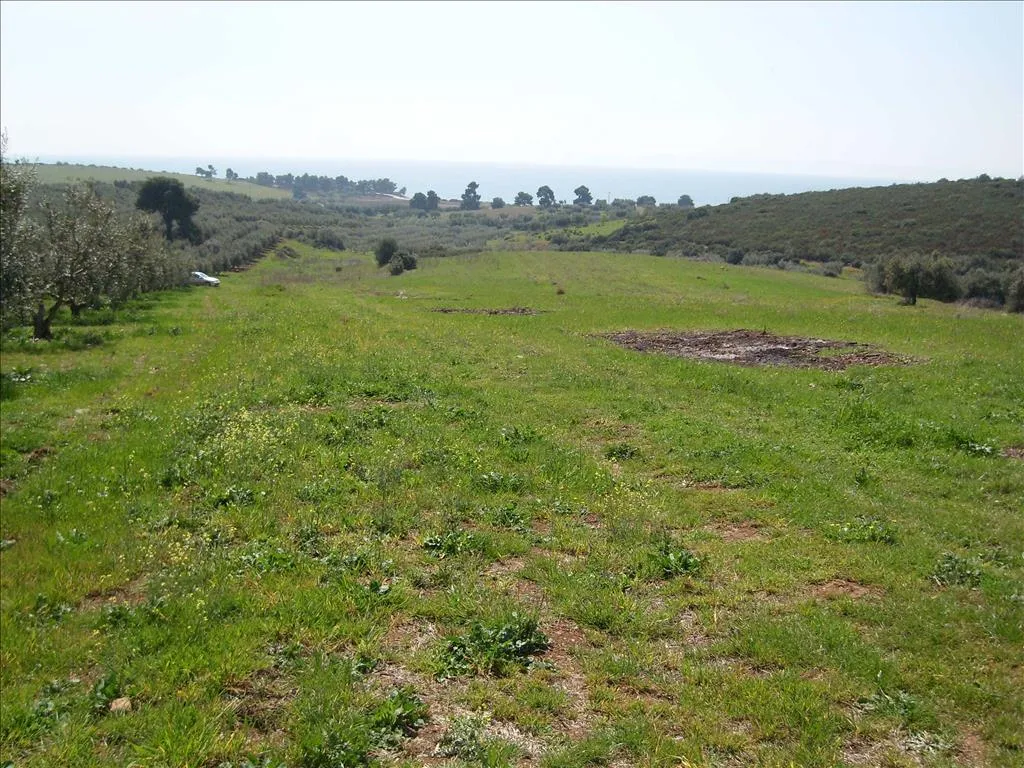 οικόπεδο προς πώληση 4500 τ.μ Πολύγυρος Χαλκιδική