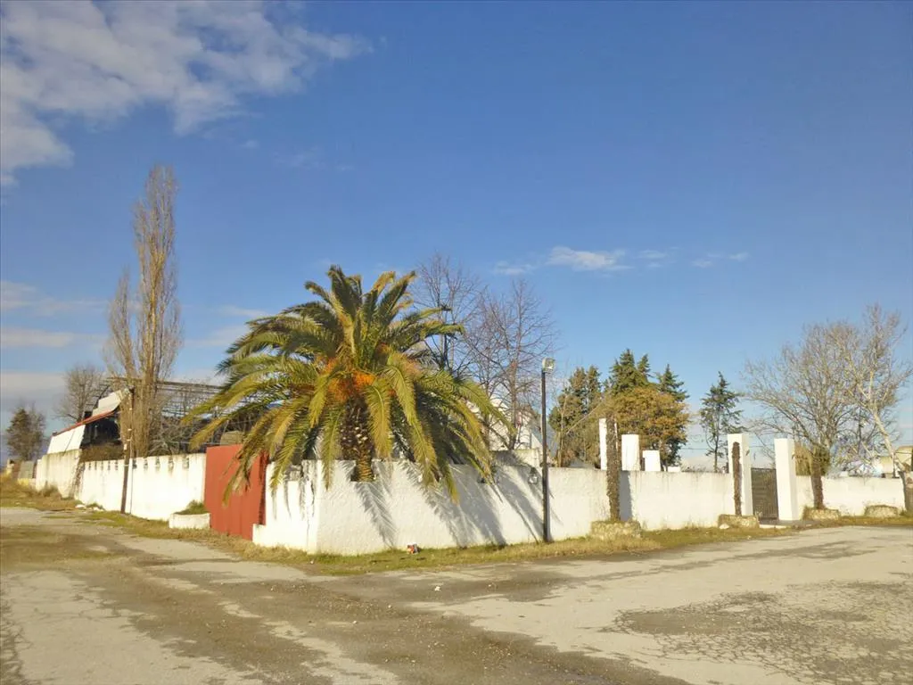 επιχείρηση προς πώληση 350 τ.μ  Νομός Πιερίας