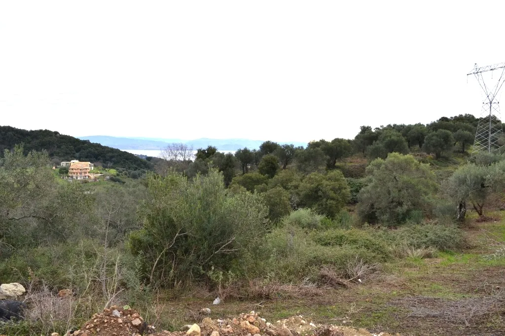 οικόπεδο προς πώληση 5743 τ.μ Κέρκυρα Νομός Κέρκυρας