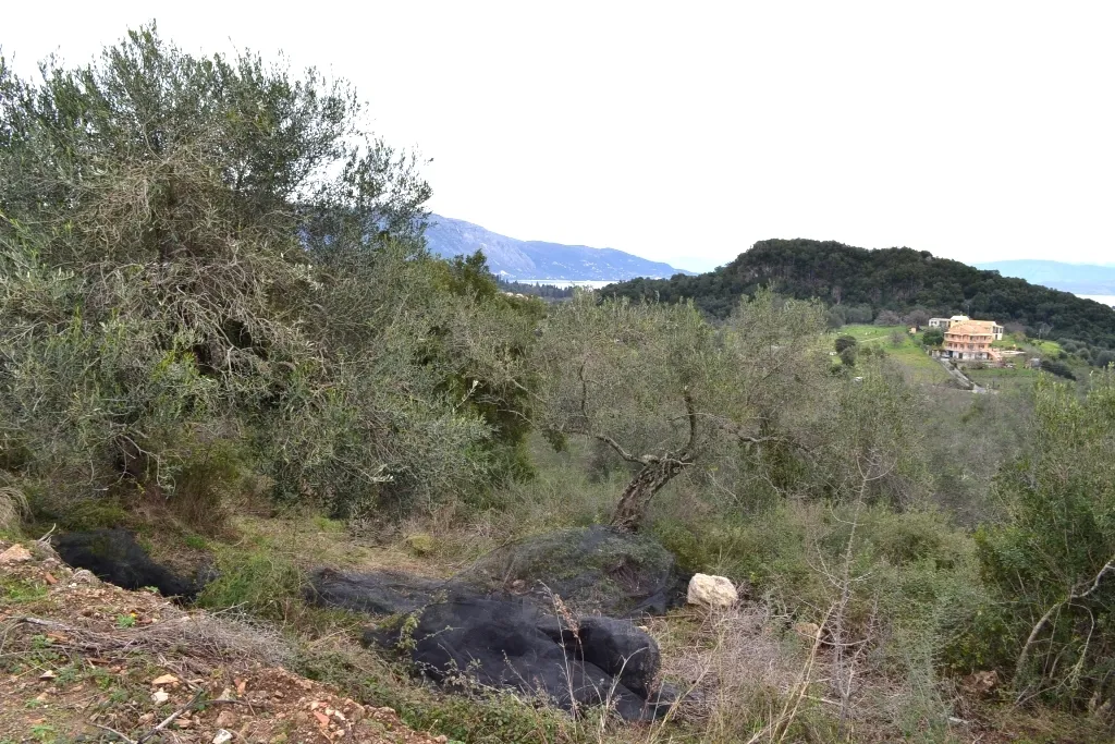 οικόπεδο προς πώληση 5743 τ.μ Κέρκυρα Νομός Κέρκυρας