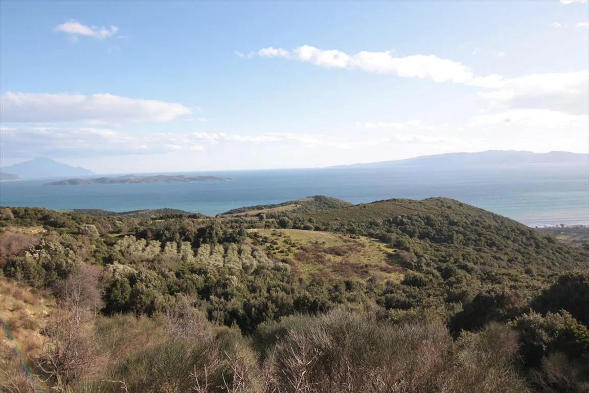 οικόπεδο προς πώληση 12000 τ.μ Αριστοτέλης Χαλκιδική