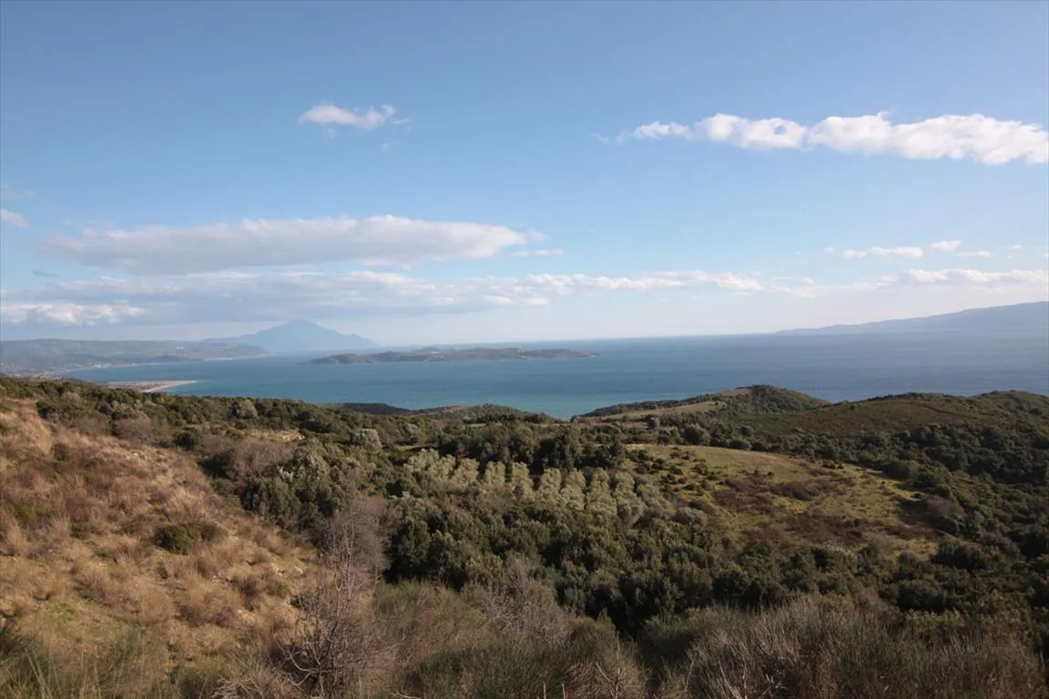 οικόπεδο προς πώληση 12000 τ.μ Αριστοτέλης Χαλκιδική
