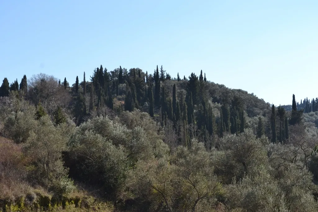 οικόπεδο προς πώληση 14700 τ.μ Κέρκυρα Νομός Κέρκυρας