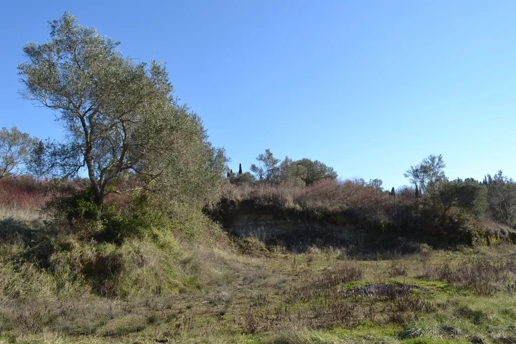 οικόπεδο προς πώληση 14700 τ.μ Κέρκυρα Νομός Κέρκυρας