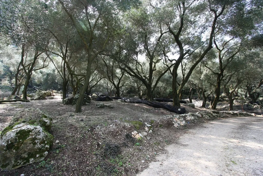 οικόπεδο προς πώληση 40000 τ.μ Κέρκυρα Νομός Κέρκυρας
