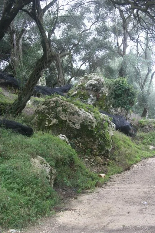 512