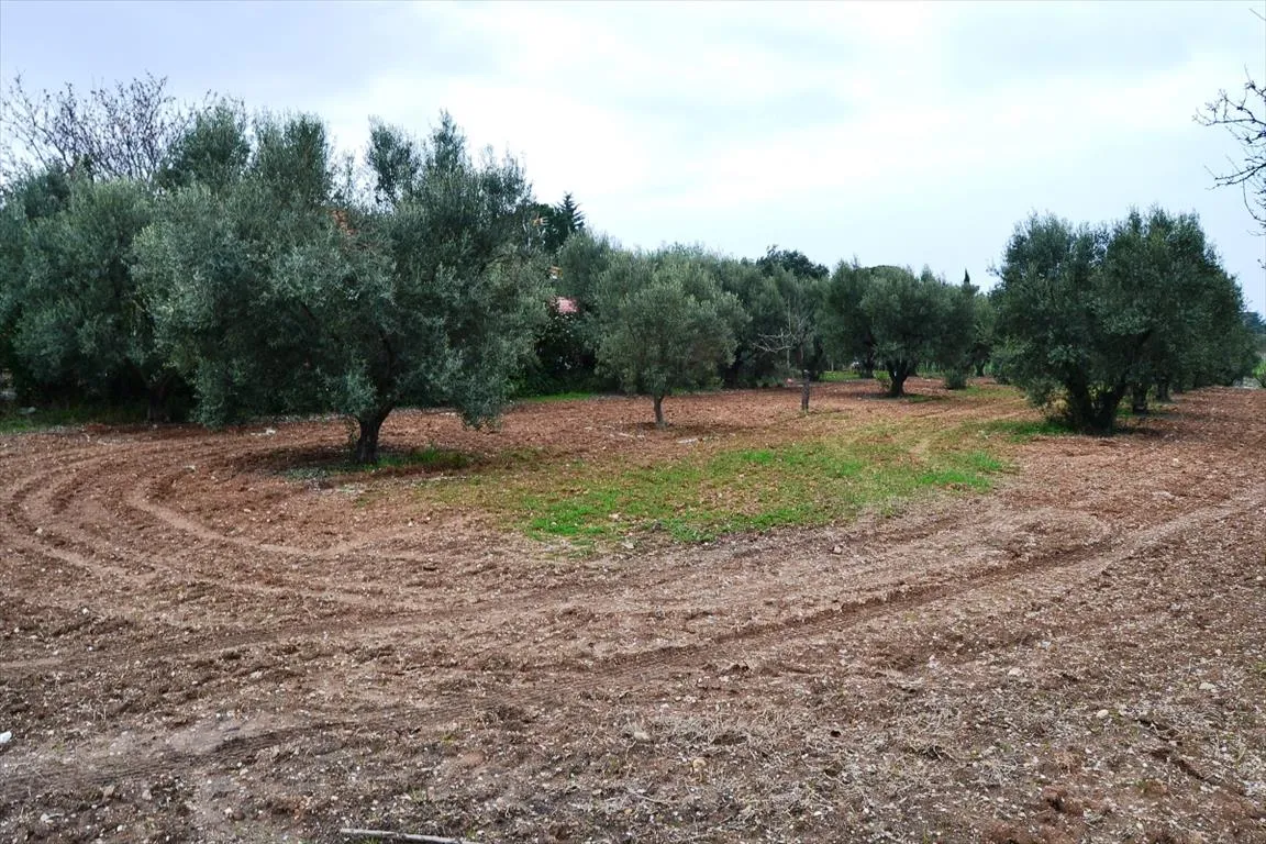οικόπεδο προς πώληση 3068 τ.μ Νέα Προποντίδα Χαλκιδική