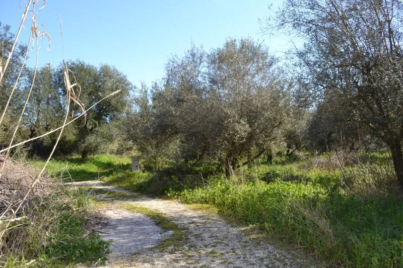 οικόπεδο προς πώληση 24000 τ.μ Κέρκυρα Νομός Κέρκυρας