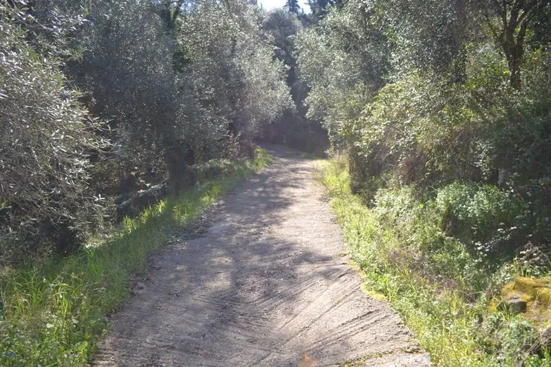 οικόπεδο προς πώληση 8000 τ.μ Κέρκυρα Νομός Κέρκυρας