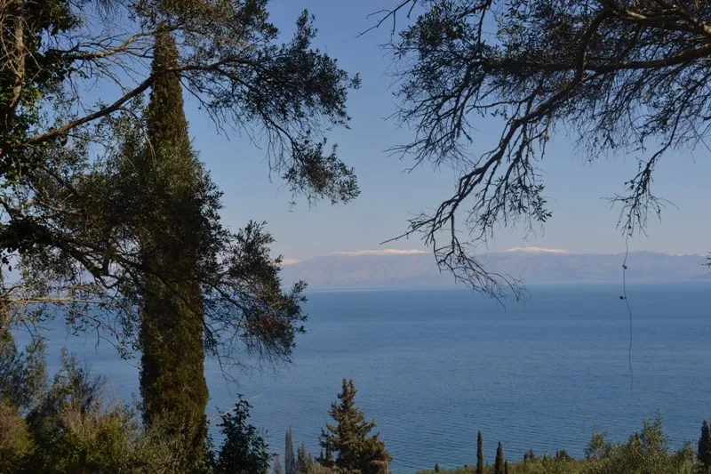 οικόπεδο προς πώληση 8000 τ.μ Κέρκυρα Νομός Κέρκυρας