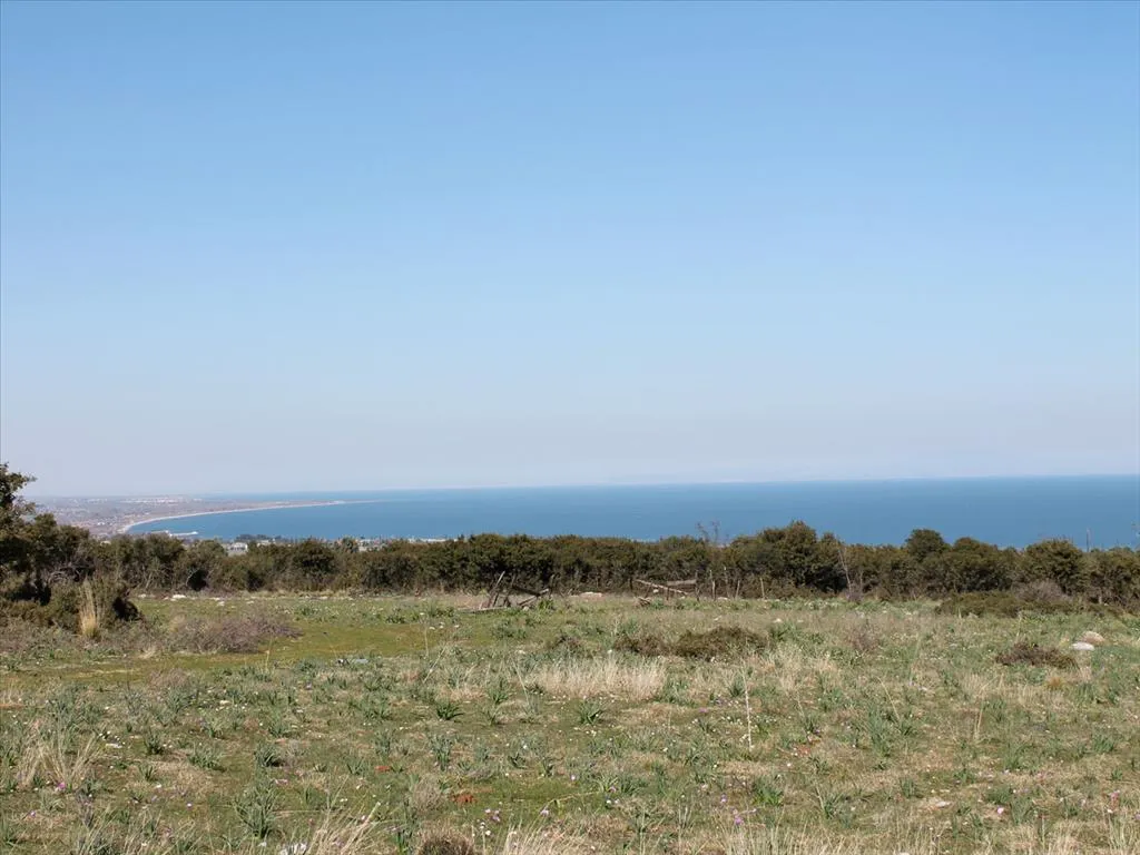 οικόπεδο προς πώληση 21919 τ.μ Λιτόχωρο Νομός Πιερίας