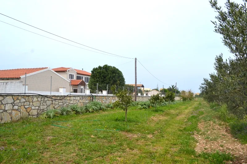 οικόπεδο προς πώληση 12000 τ.μ Κέρκυρα Νομός Κέρκυρας