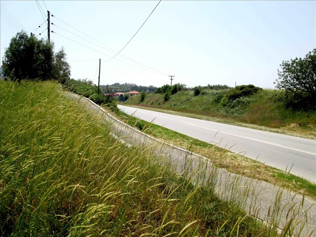οικόπεδο προς πώληση 3100 τ.μ Σιθωνία Χαλκιδική