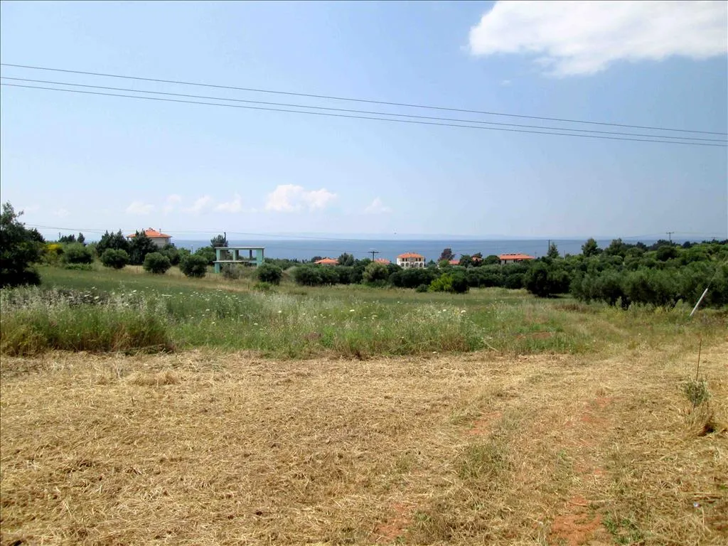 οικόπεδο προς πώληση 6534 τ.μ Σιθωνία Χαλκιδική