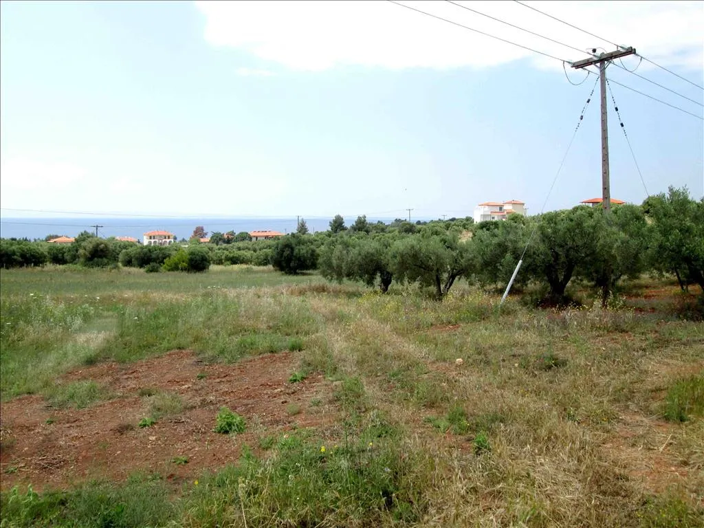 οικόπεδο προς πώληση 6534 τ.μ Σιθωνία Χαλκιδική