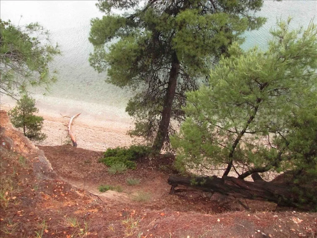 οικόπεδο προς πώληση 54096 τ.μ Σιθωνία Χαλκιδική