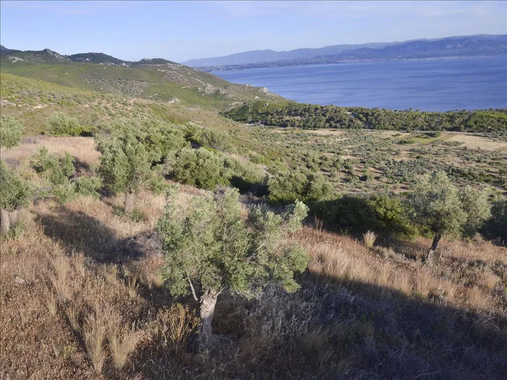 οικόπεδο προς πώληση 17889 τ.μ Λουτράκι-Περαχώρα Κορινθία
