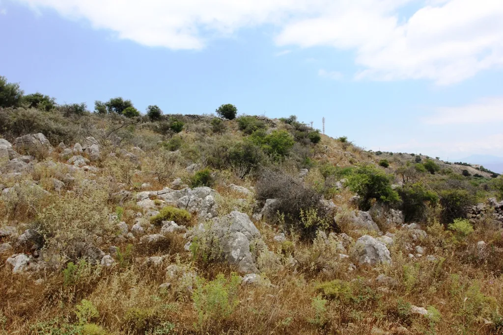 οικόπεδο προς πώληση 4300 τ.μ Βάμος Νομός Χανίων