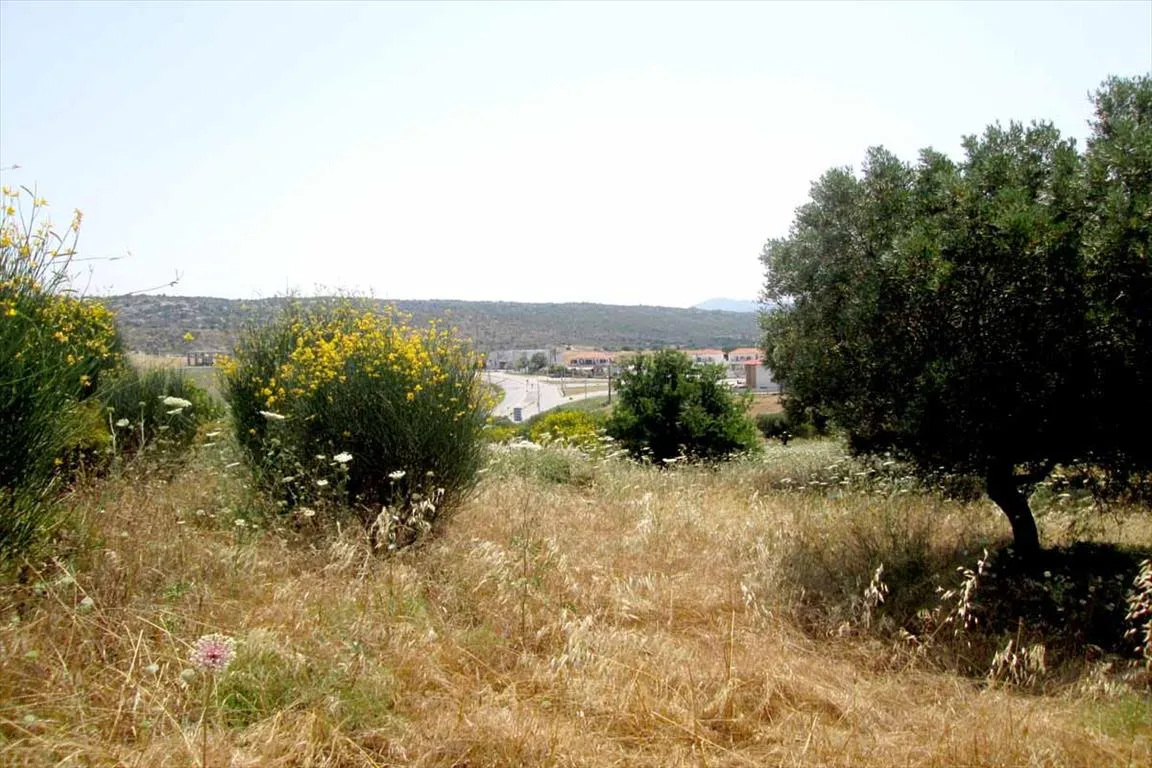 οικόπεδο προς πώληση 4123 τ.μ Σιθωνία Χαλκιδική