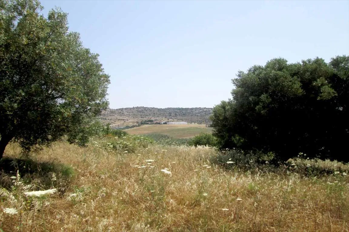 οικόπεδο προς πώληση 4123 τ.μ Σιθωνία Χαλκιδική