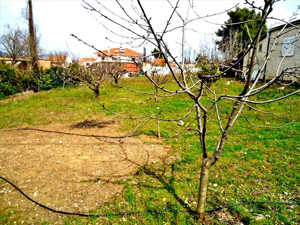οικόπεδο προς πώληση 1800 τ.μ Ροδόπολη Βόρεια Αθήνας