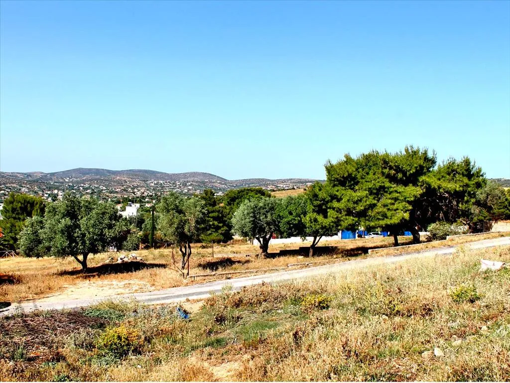 οικόπεδο προς πώληση 1200 τ.μ Κορωπί Ανατολικά Αθήνας