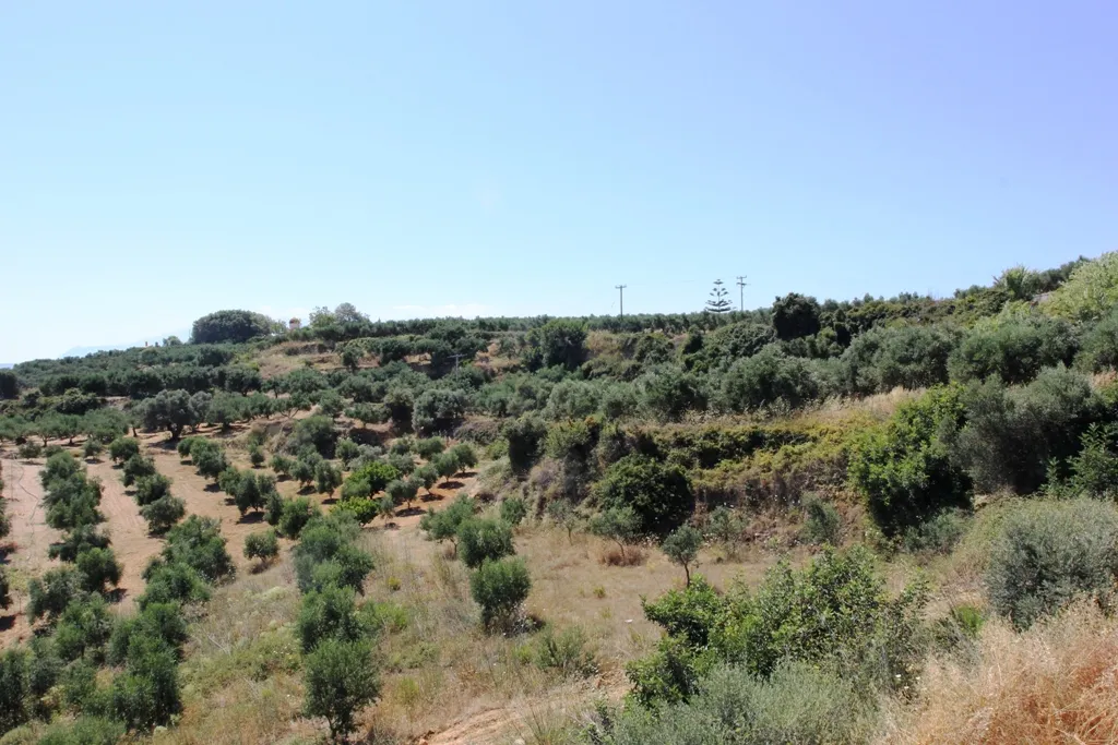 οικόπεδο προς πώληση 3500 τ.μ Πλατανιάς Νομός Χανίων