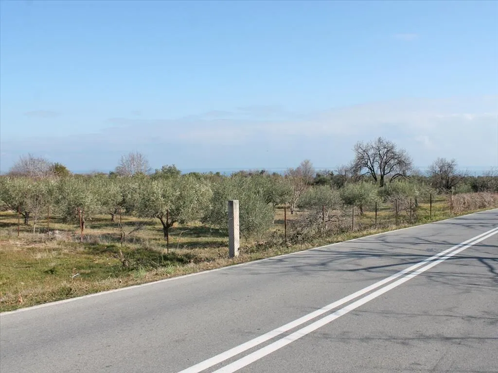 οικόπεδο προς πώληση 4151 τ.μ Λιτόχωρο Νομός Πιερίας
