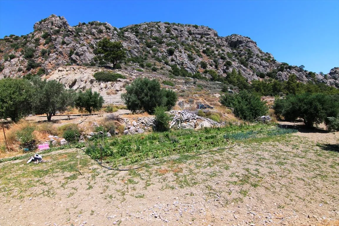 οικόπεδο προς πώληση 1700 τ.μ Ιεράπετρα Νομός Λασιθίου