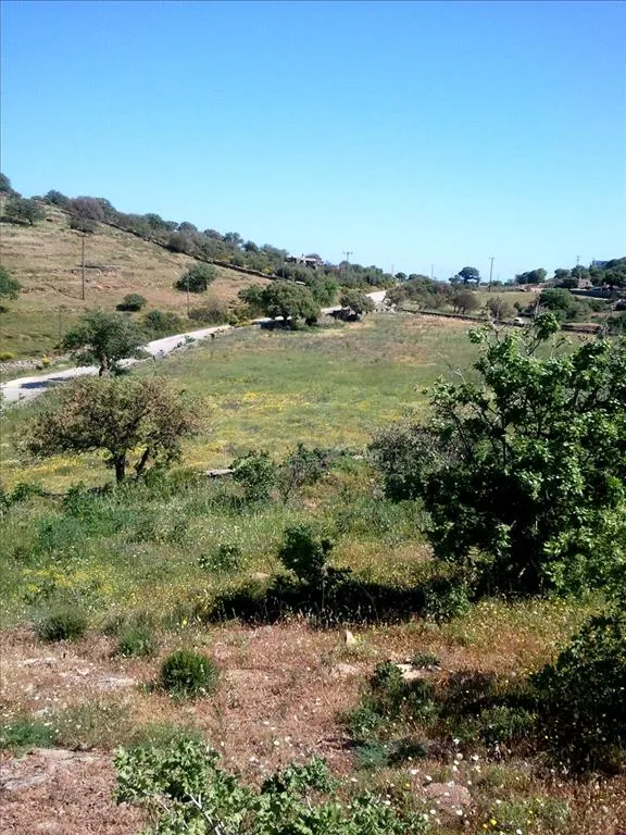 οικόπεδο προς πώληση 4300 τ.μ  Κυκλάδες