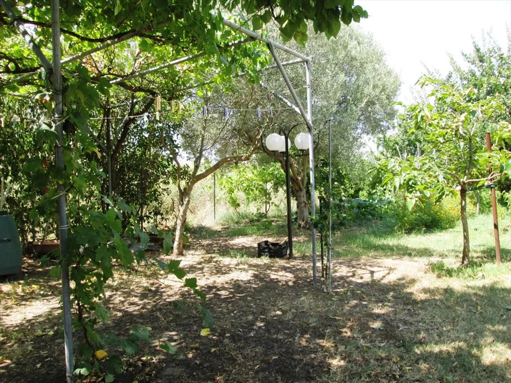 μονοκατοικία προς πώληση 285 τ.μ Σιθωνία Χαλκιδική