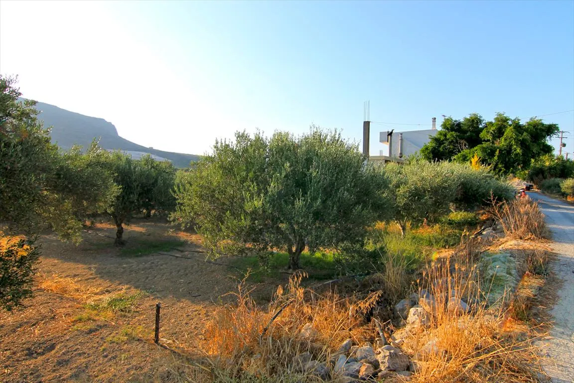 οικόπεδο προς πώληση 1800 τ.μ Γούβες Νομός Ηρακλείου
